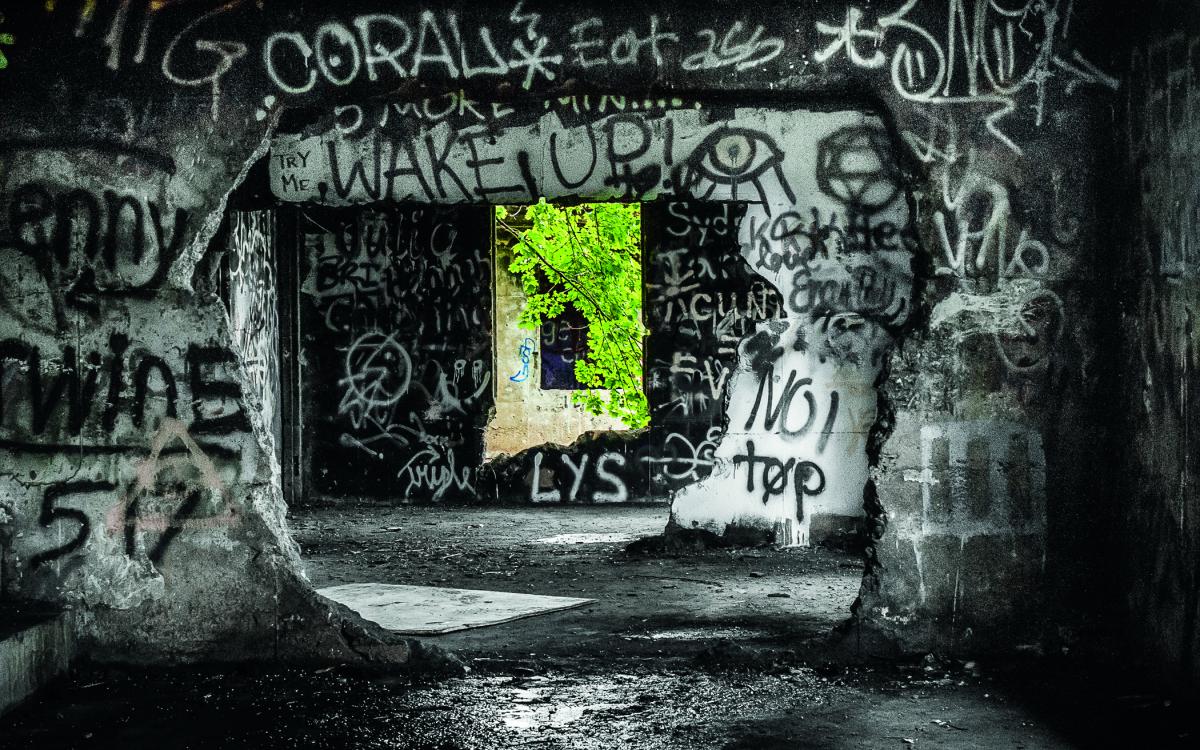 Greenspace, 2017, digital photograph, 22” x 32”