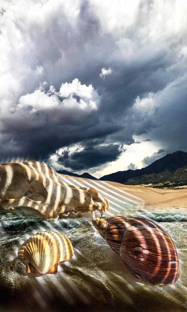 Keith Vanderlin, Color Blend Series #3, 2020, digital photo, 25” x 15”