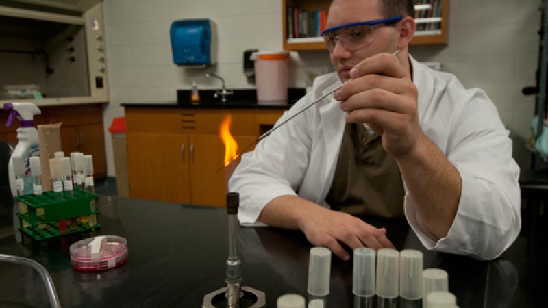 Flaming a loop to transfer bacteria in the Micro lab.