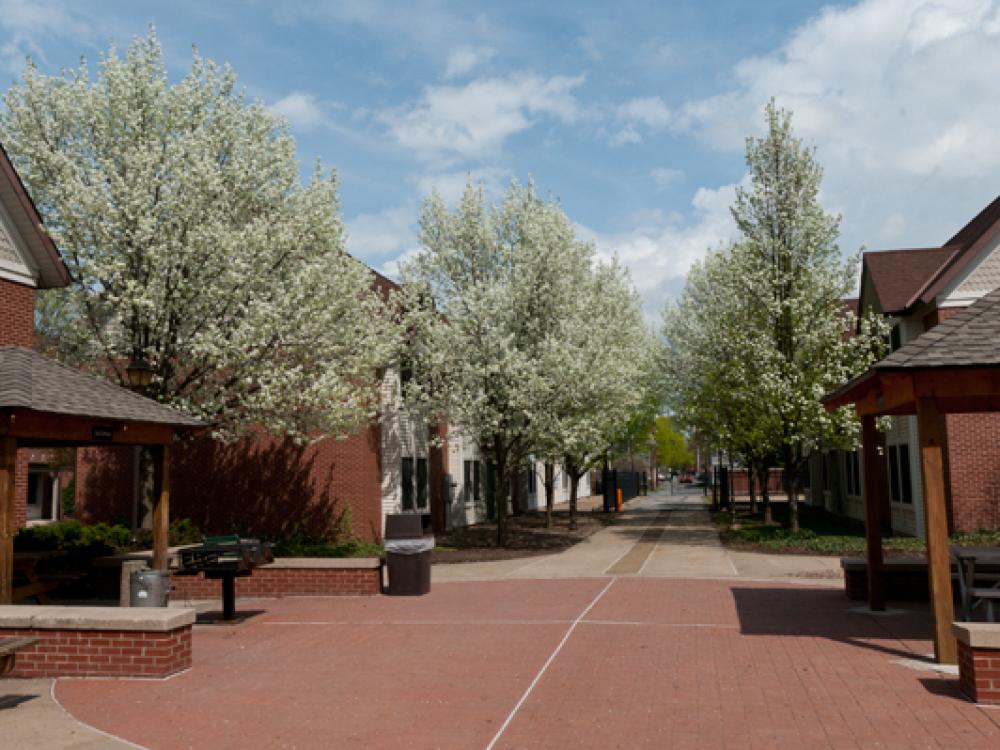 The Village at Penn College